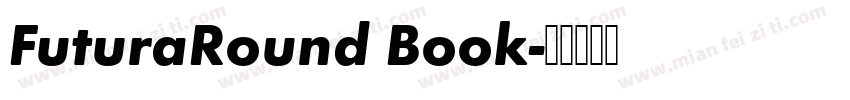 FuturaRound Book字体转换
